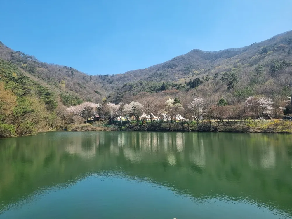 궁지골농원 대표 이미지