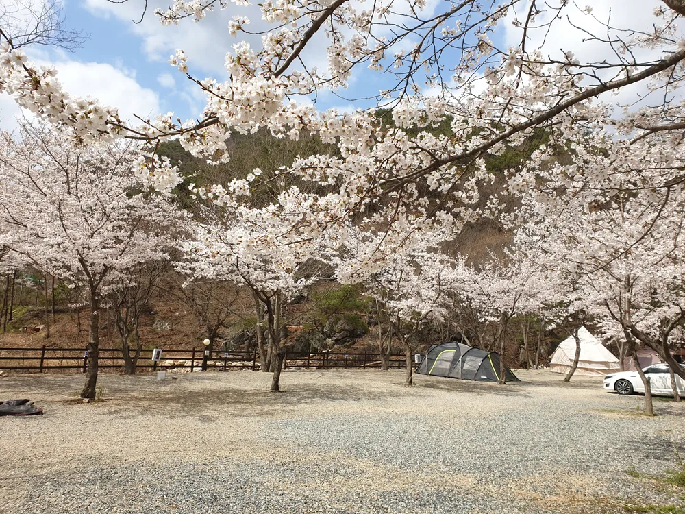 청수가든 캠핑장 대표 이미지