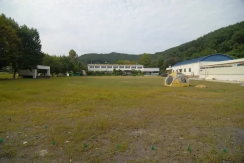 드림캠핑장 대표 이미지