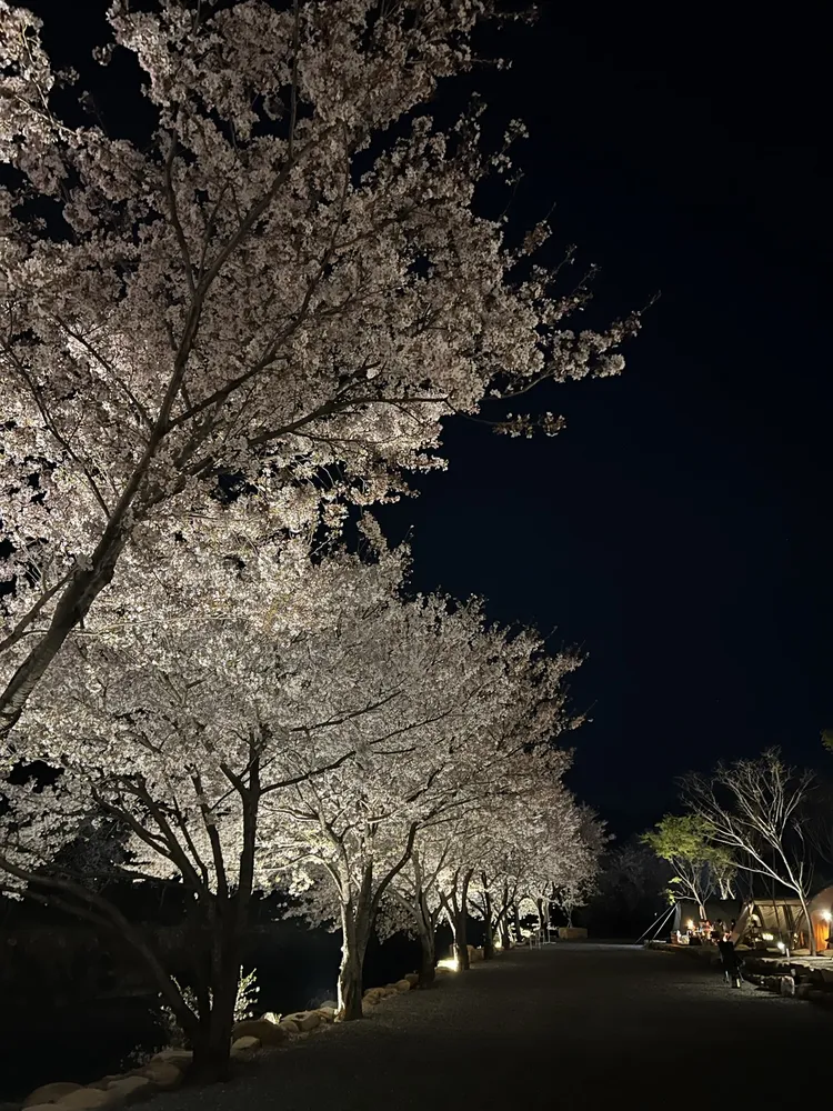 화왕산오토캠핑장 대표 이미지