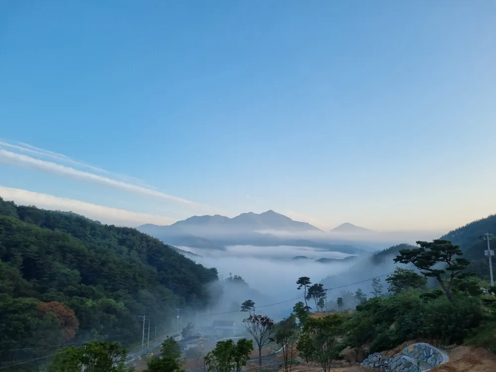 합천 오도산관광농원 캠핑장 대표 이미지