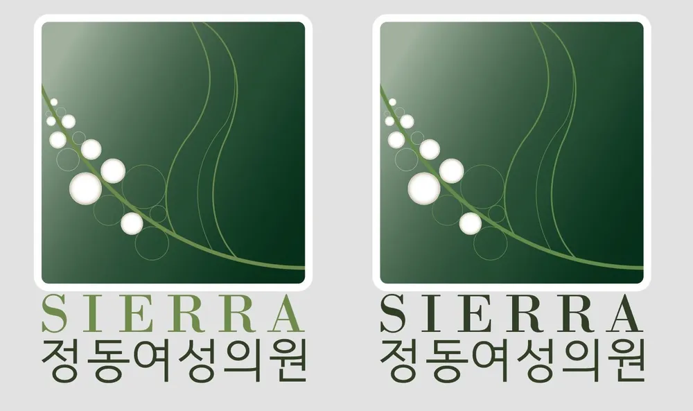 씨에라정동여성의원 대표 이미지