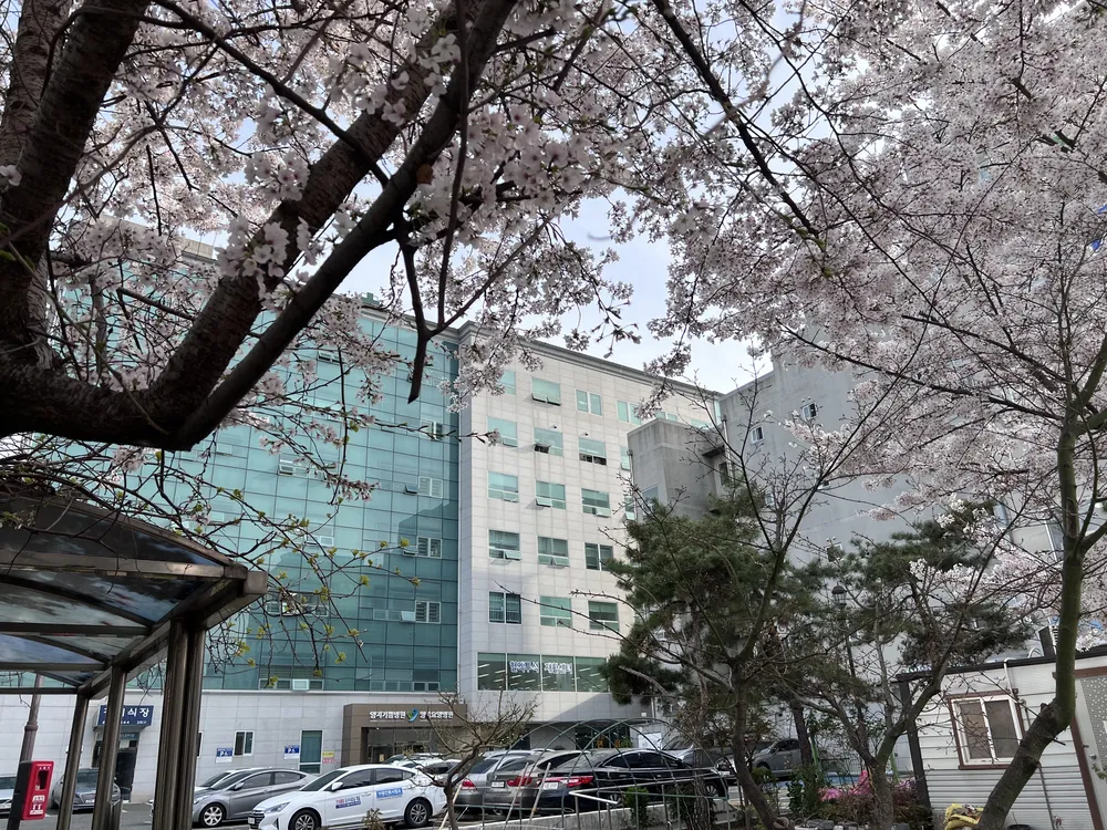 양지요양병원 대표 이미지