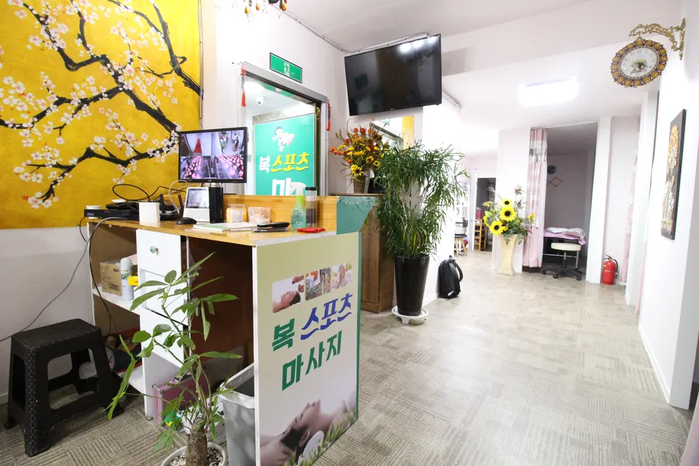 복스포츠 대표 이미지