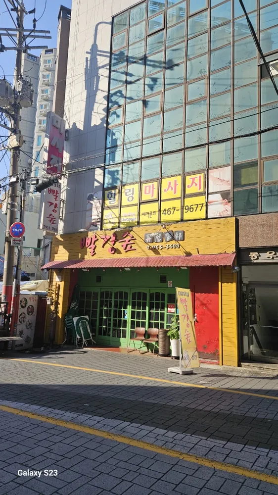 힐링메스코틱 대표 이미지