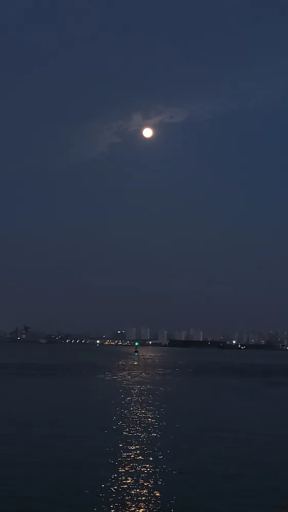 이승이피부바디왁싱 대표 이미지