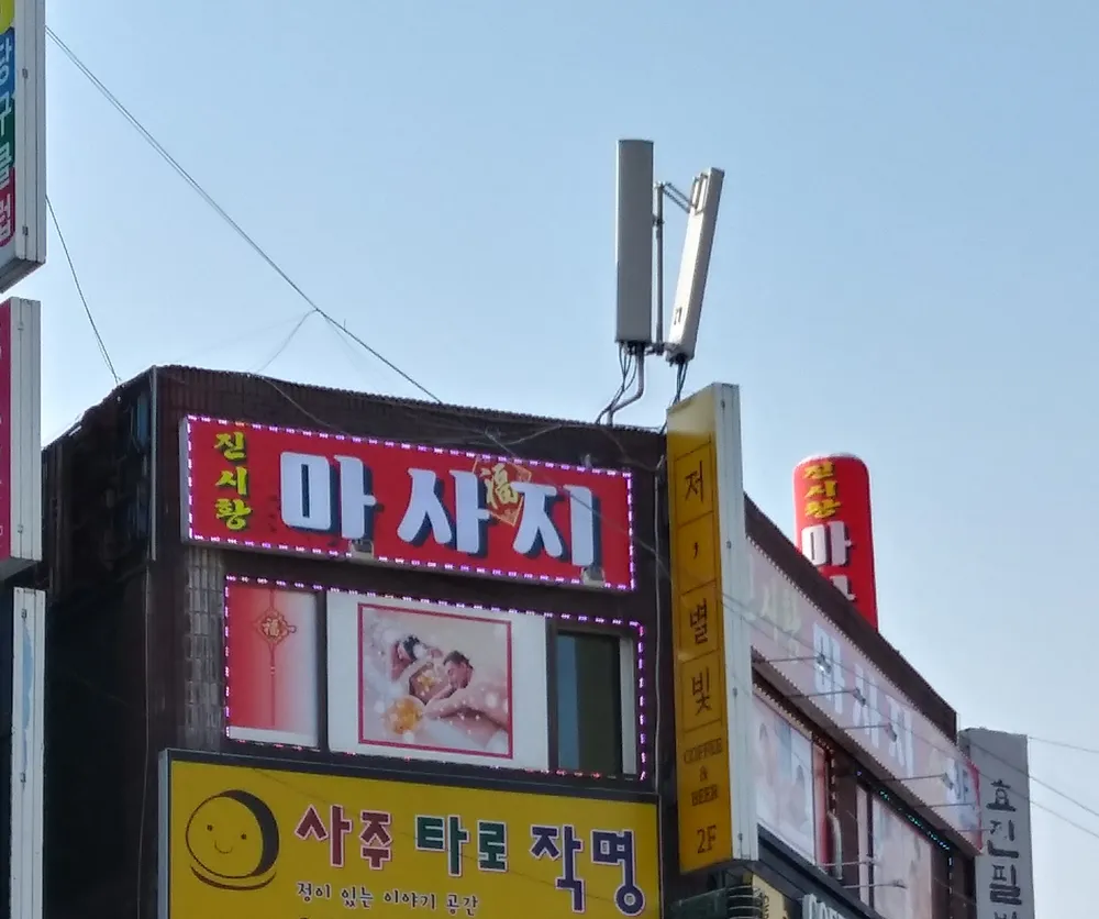 진시황 대표 이미지