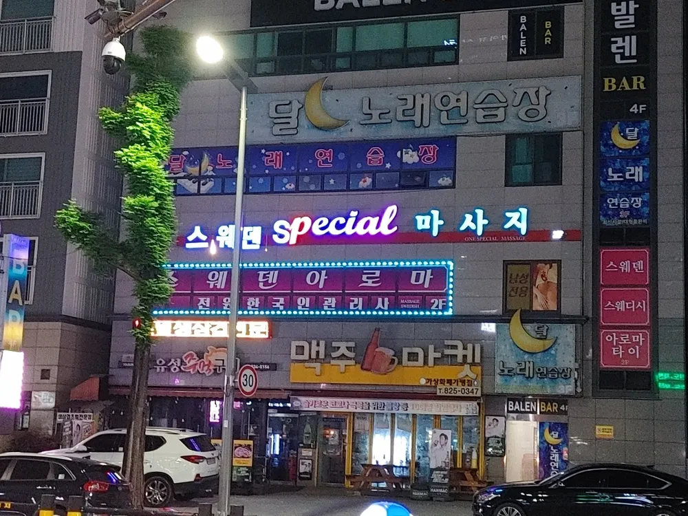 스웨덴스웨디시 대표 이미지