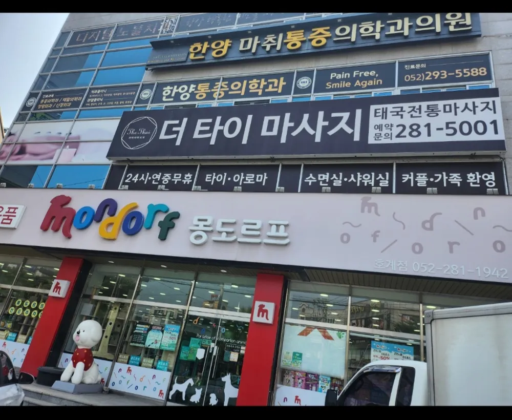 더타이마사지 대표 이미지