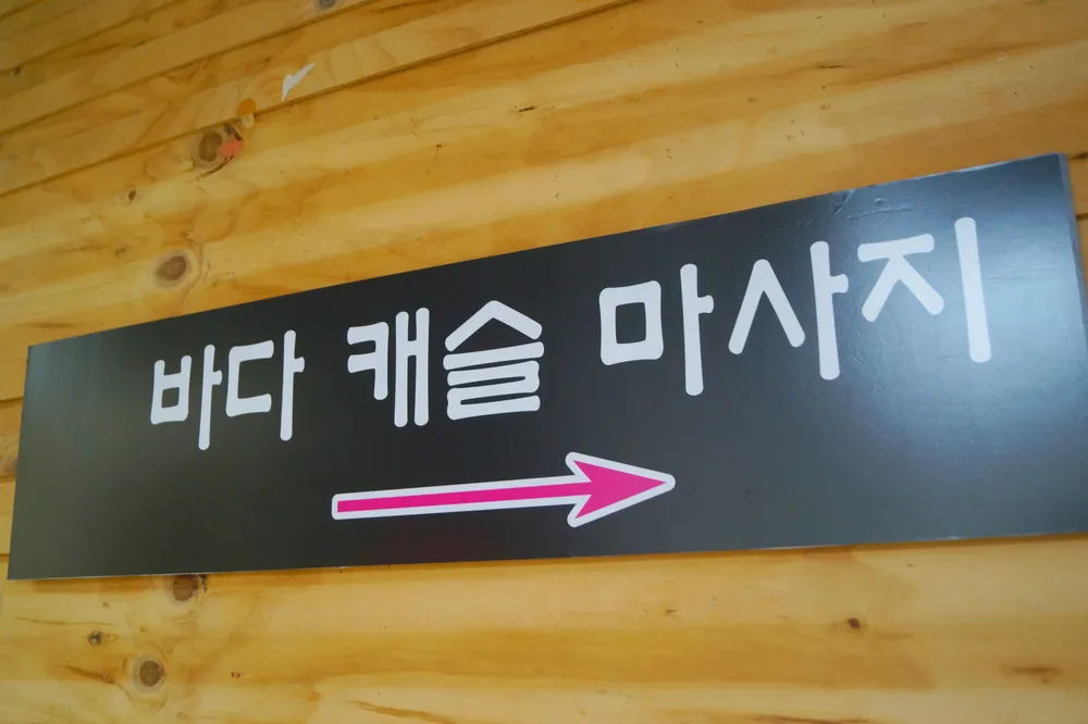 바디캐슬 대표 이미지