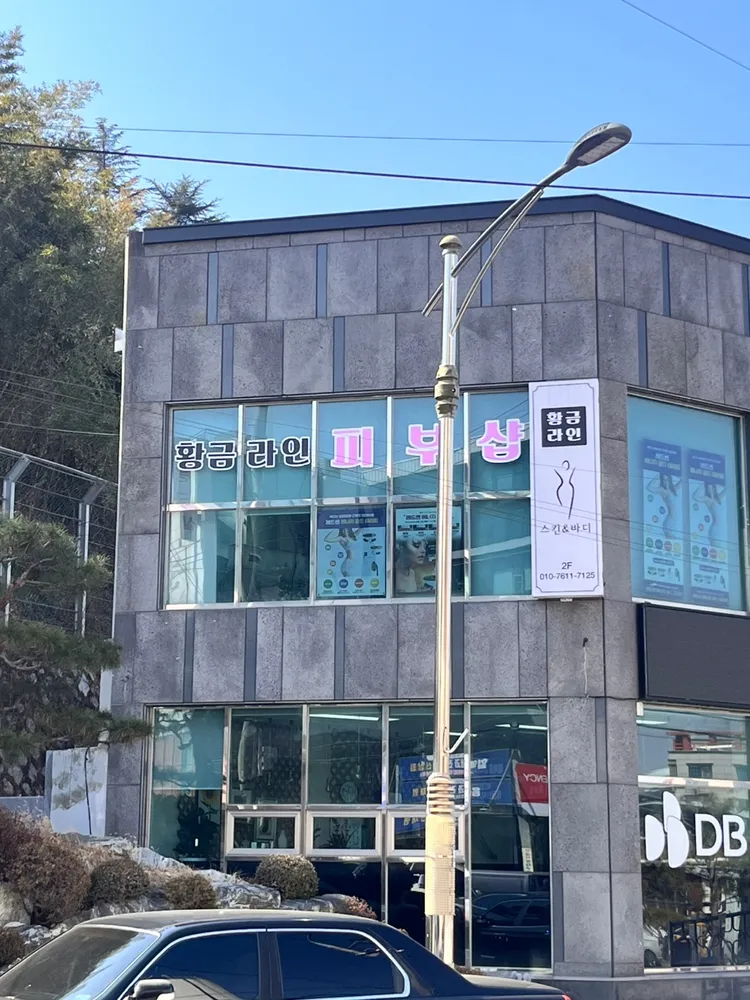 황금라인 대표 이미지