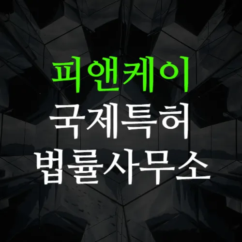 피앤케이국제특허법률사무소 대표 이미지