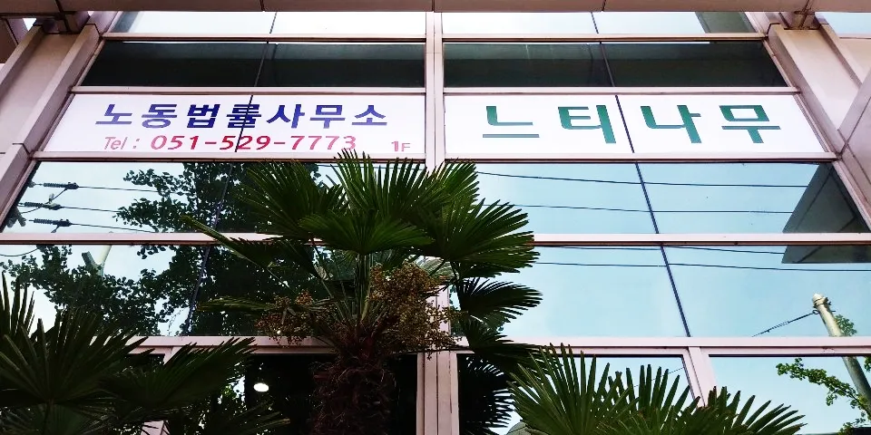 노동법률사무소느티나무 대표 이미지