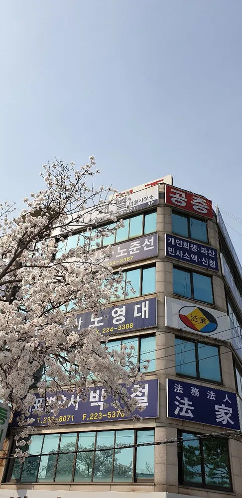 법무법인법가 대표 이미지