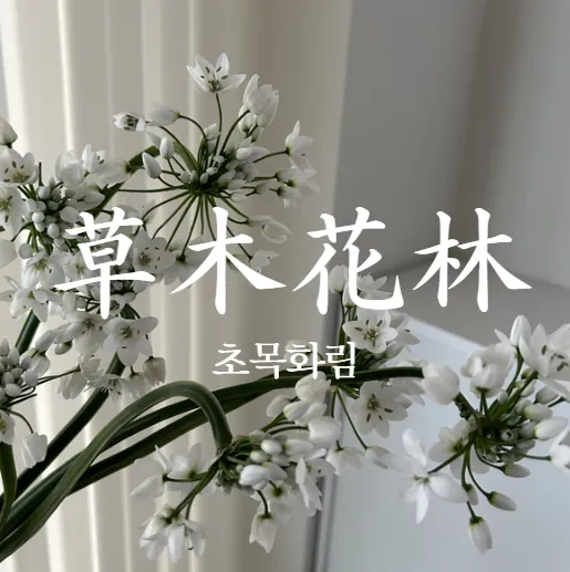 초목화림 대표 이미지