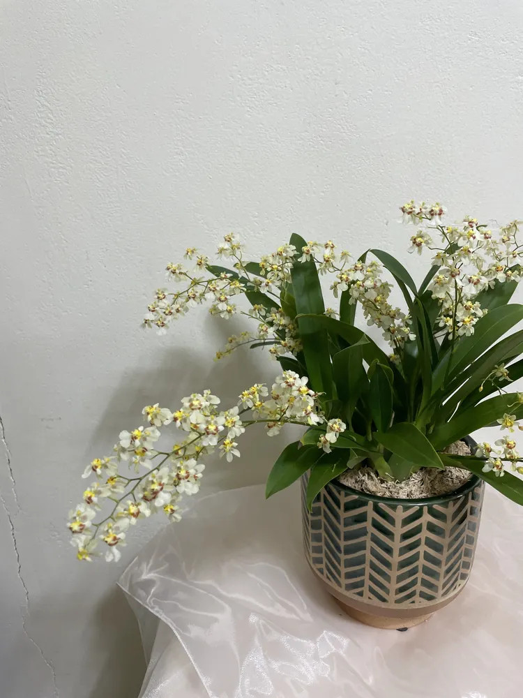꽃뜰,식물가게