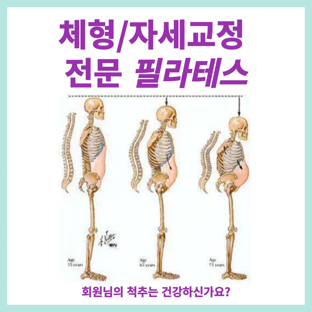 가온필라테스 대곡점 / 필라테스 지도자 양성기관 대표 이미지