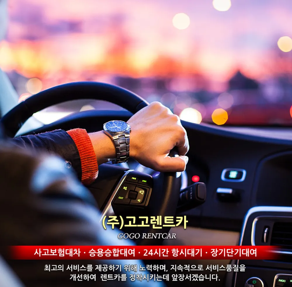 고고렌트카 대표 이미지