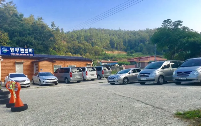 동부렌트카 대표 이미지