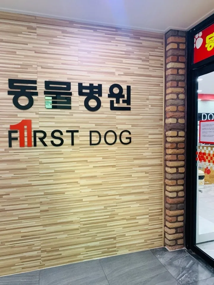 퍼스트동물병원 대표 이미지
