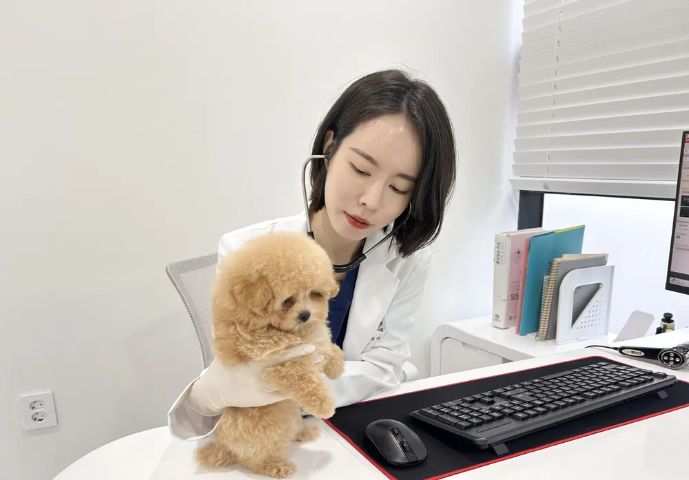 테블리동물메디컬센터 대표 이미지