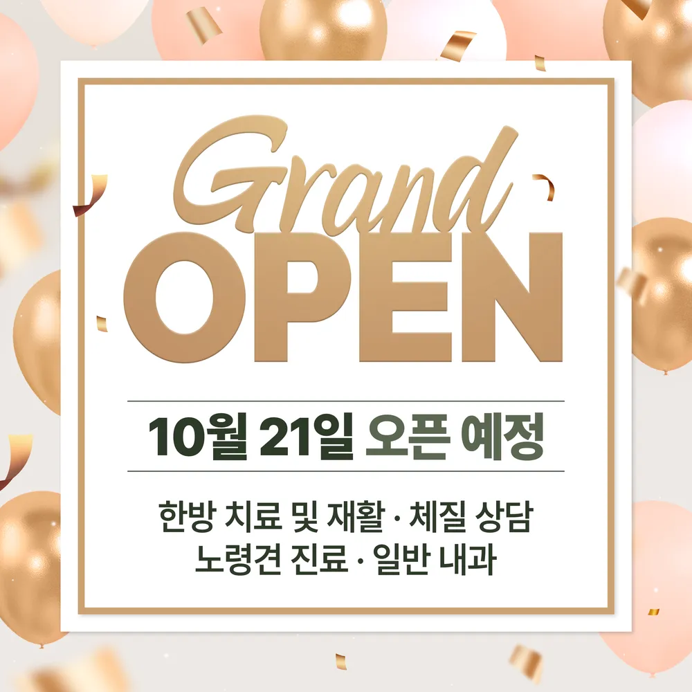 온솔양한방동물병원 대표 이미지