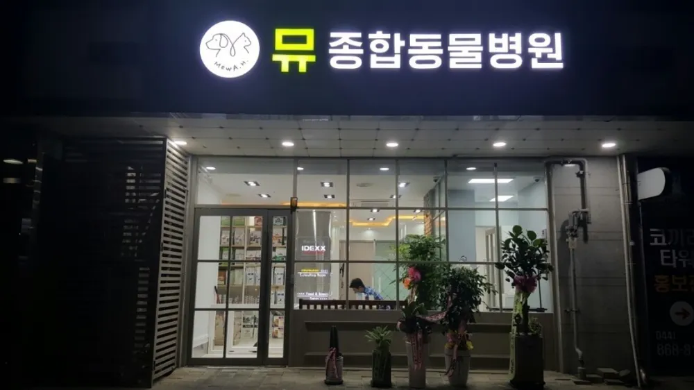뮤동물병원 대표 이미지