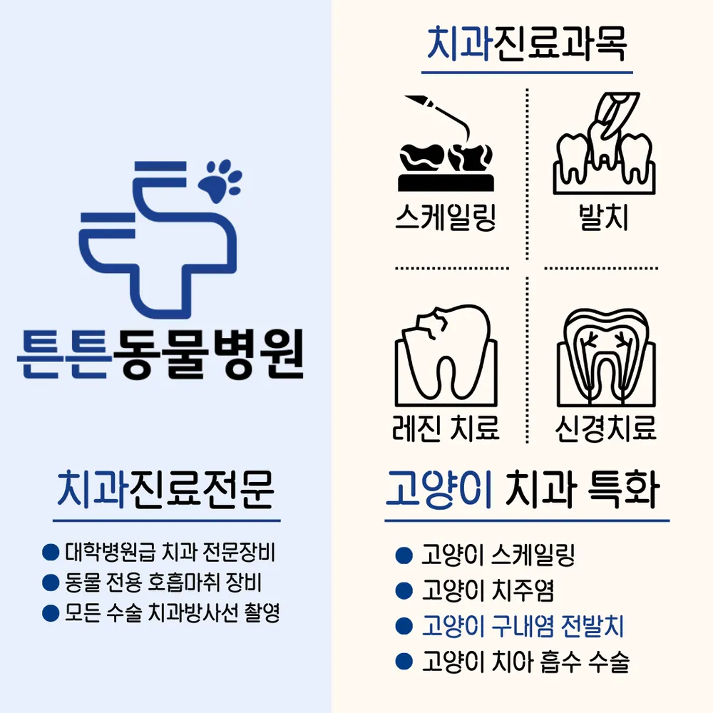 튼튼동물병원 대표 이미지