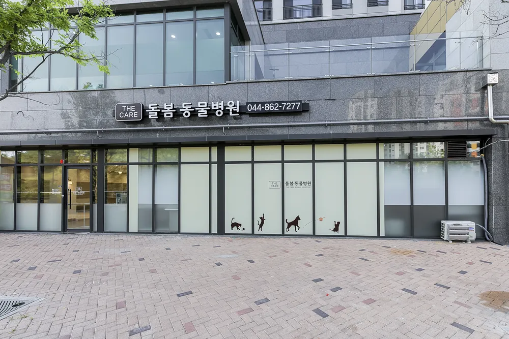 돌봄동물병원 대표 이미지
