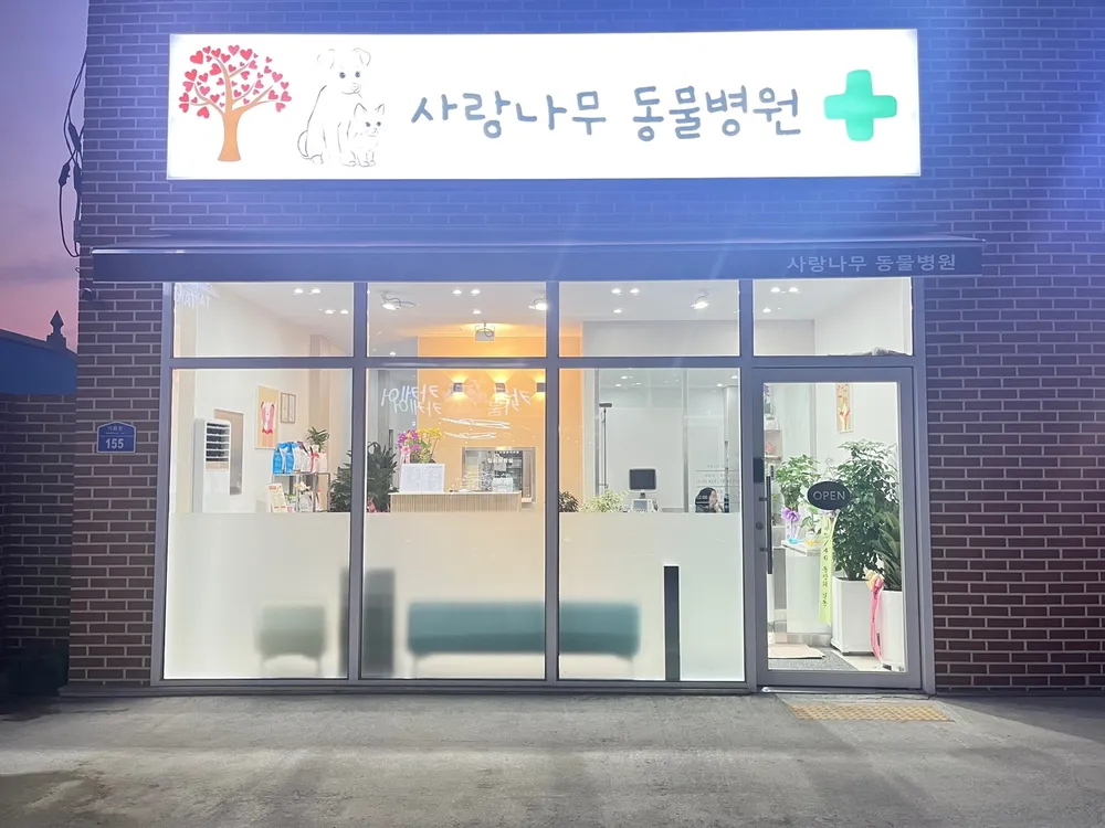 사랑나무동물병원 대표 이미지