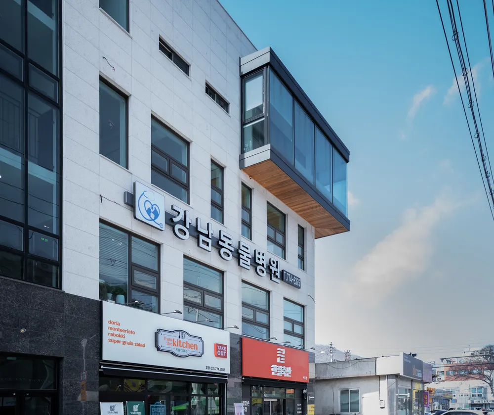 강남동물병원 대표 이미지