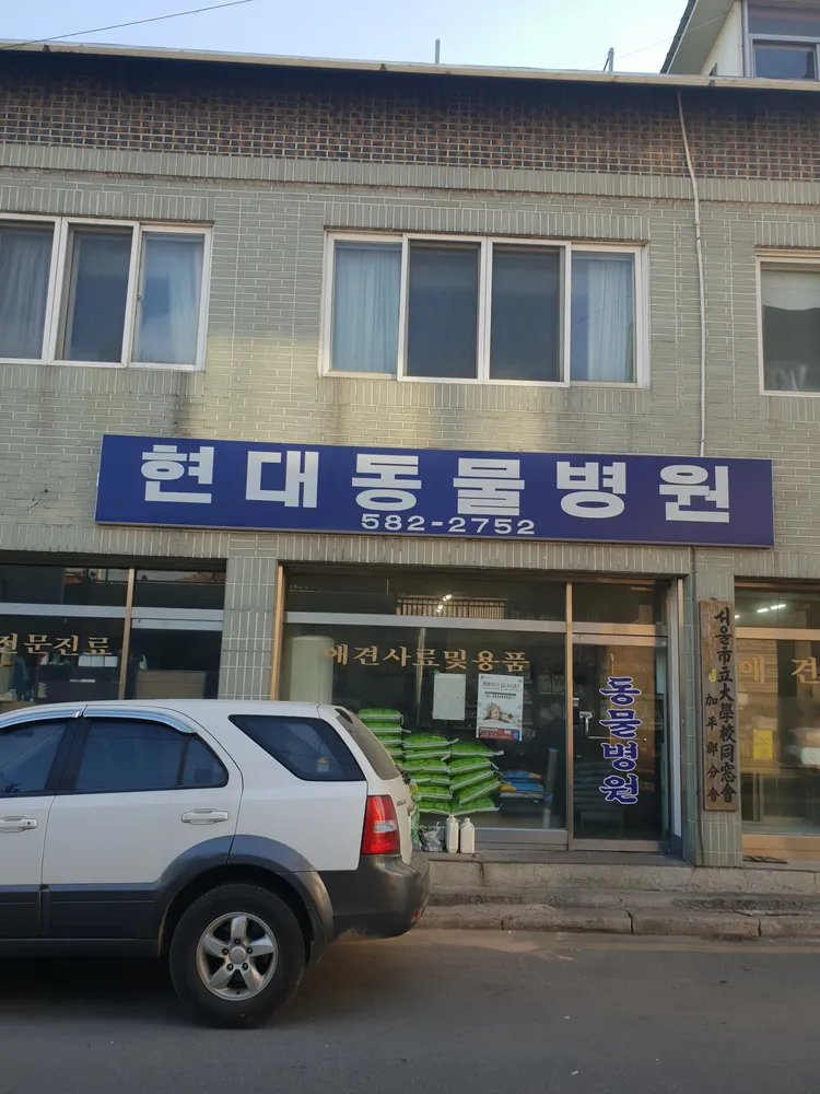 현대동물병원 대표 이미지