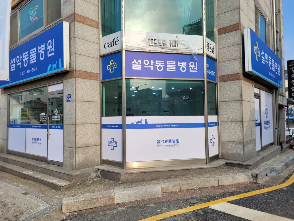 설악동물병원 대표 이미지