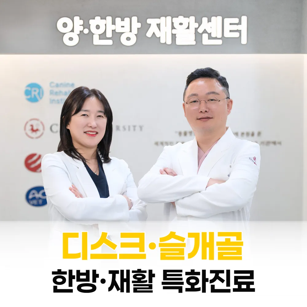 여기로양한방동물병원 대표 이미지