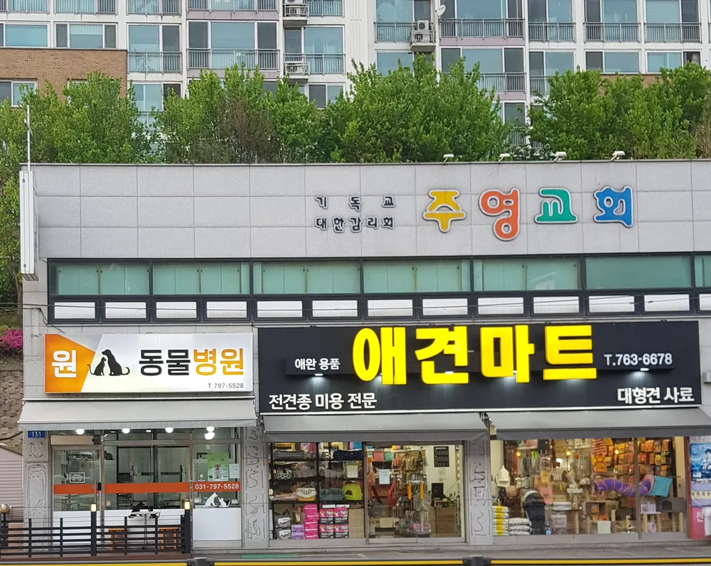 원동물병원 대표 이미지