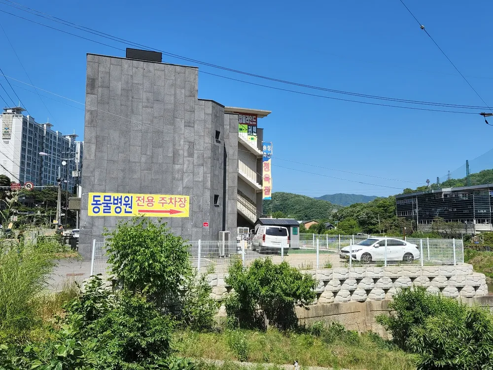 광주TNR동물병원 대표 이미지