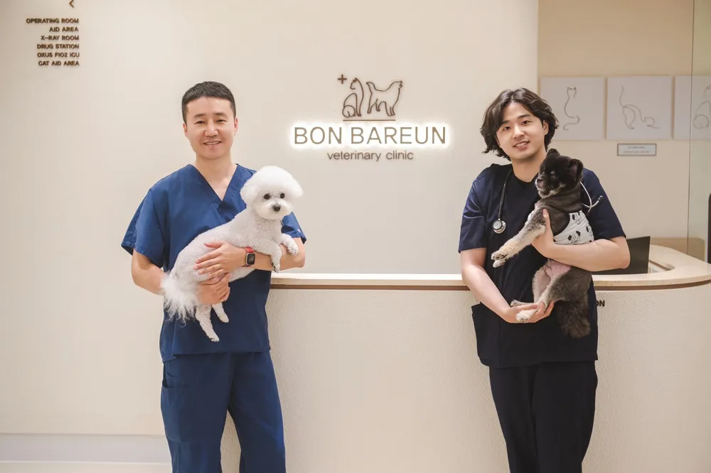 본바른동물병원 대표 이미지