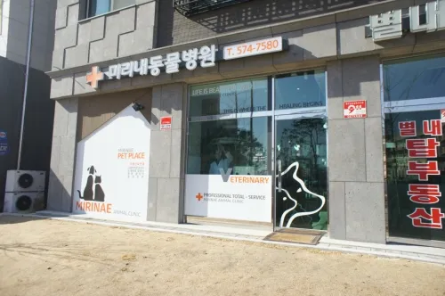 미리내동물병원 대표 이미지