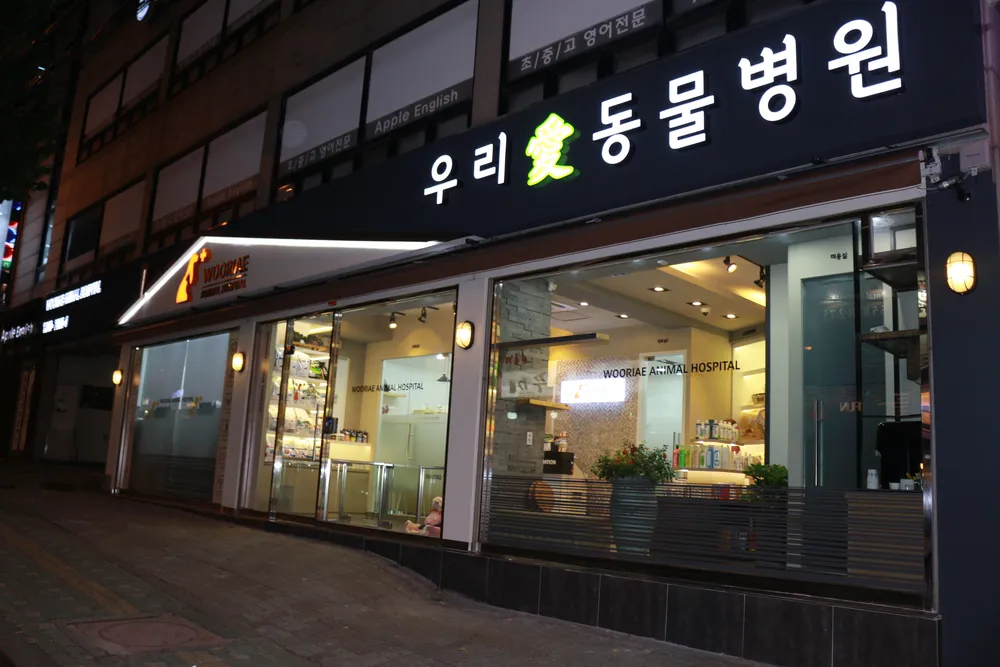 사랑우리애 동물병원 대표 이미지