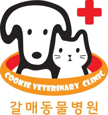 갈매동물병원 대표 이미지