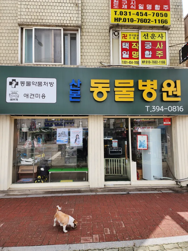 산본동물병원 대표 이미지