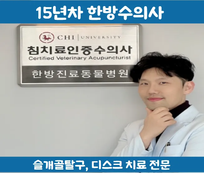 하나로양한방동물병원 대표 이미지