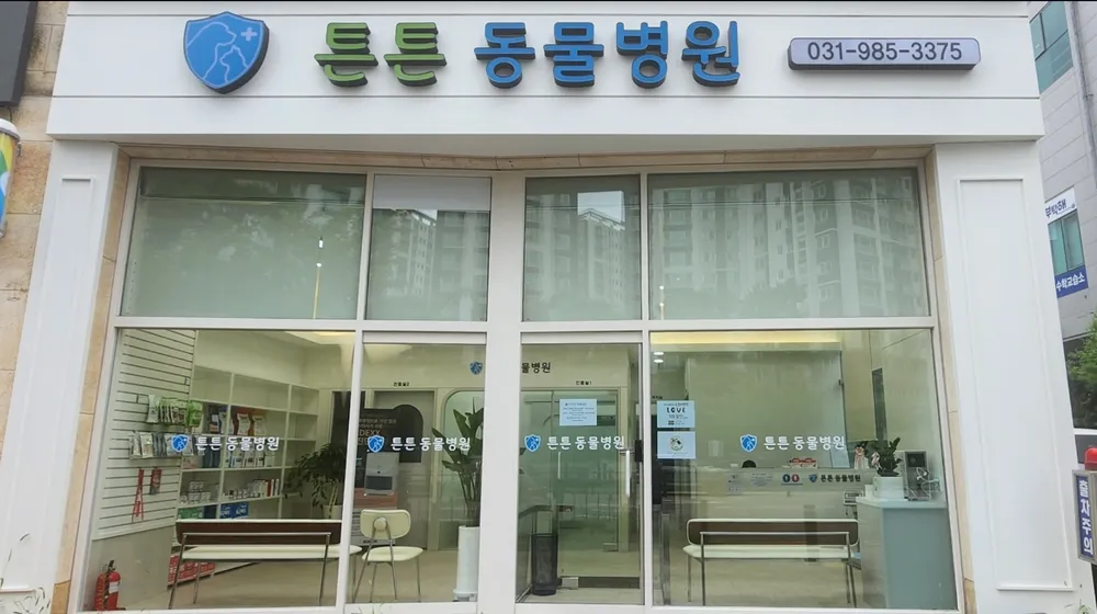 튼튼동물병원 대표 이미지