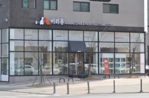 이리온 김포점 대표 이미지
