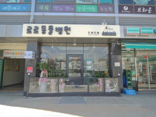 로로 동물병원 대표 이미지
