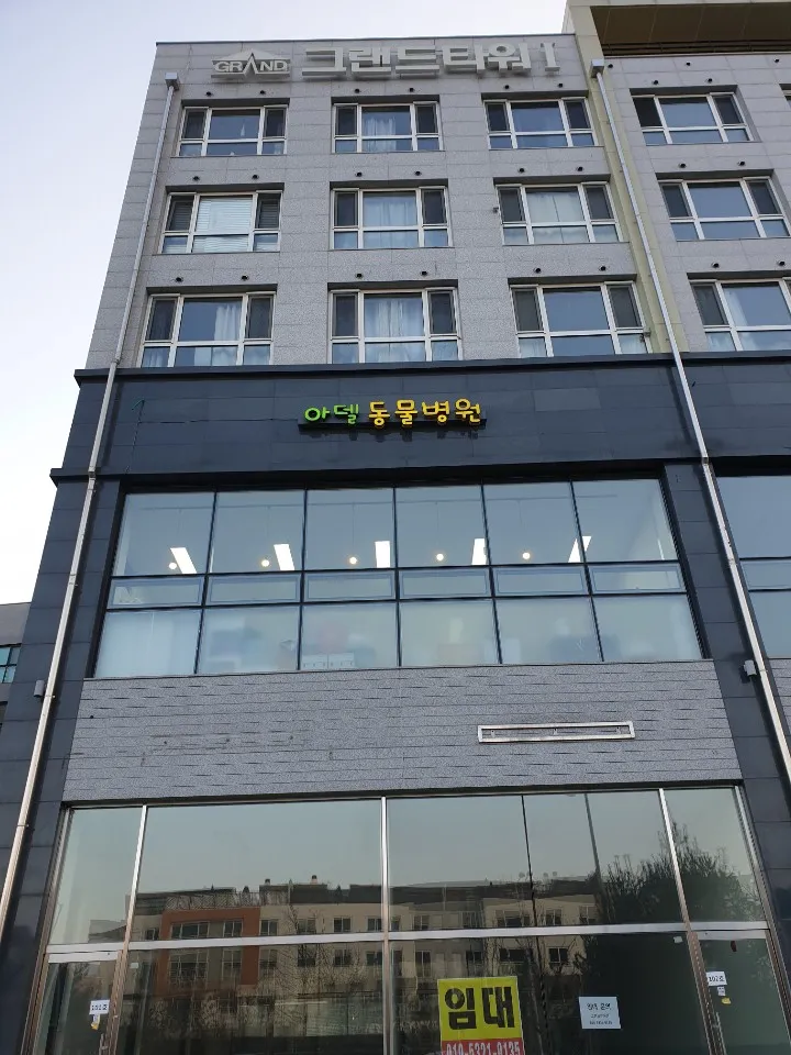 아델동물병원 대표 이미지