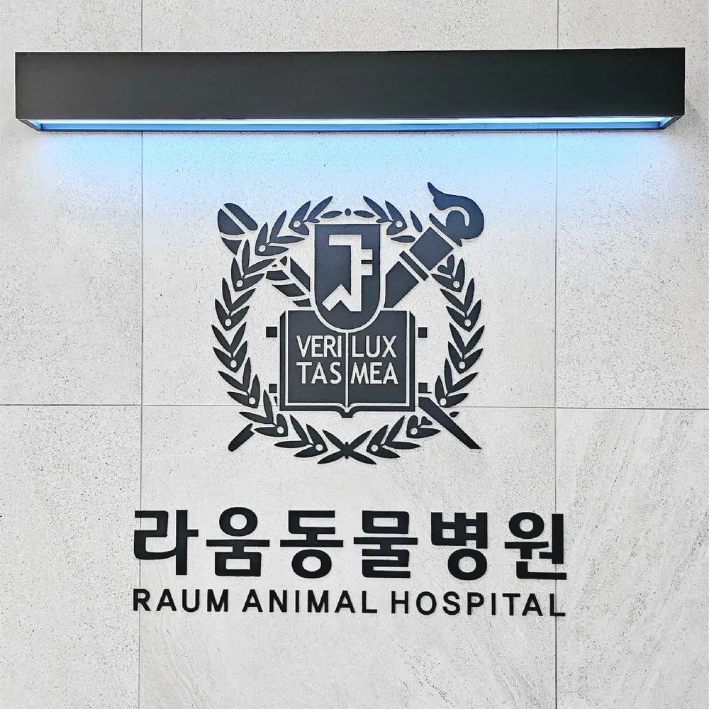 라움동물병원 대표 이미지