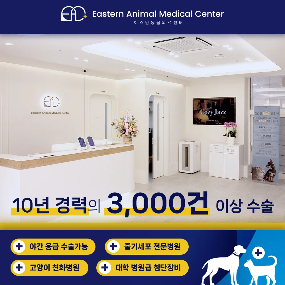 이스턴동물의료센터 대표 이미지