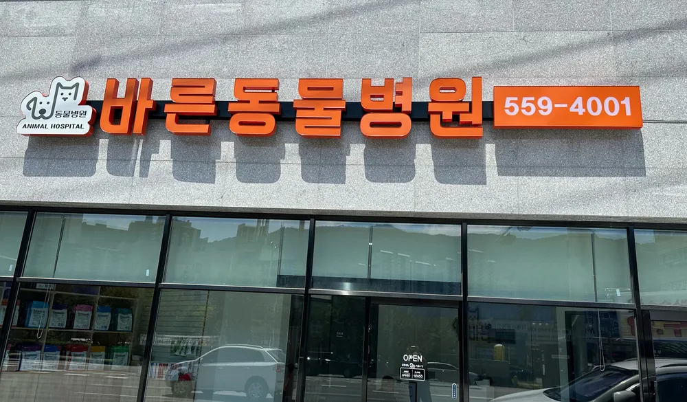 바른동물병원 대표 이미지