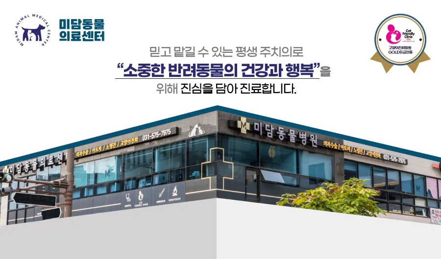 미담동물의료센터 대표 이미지